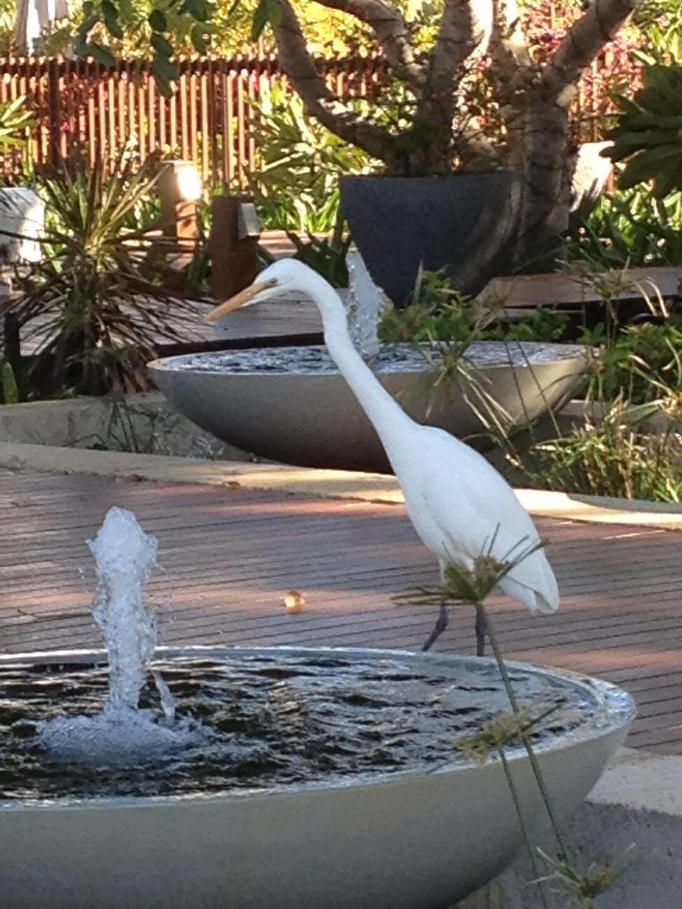 The Billi Resort Cable Beach Esterno foto